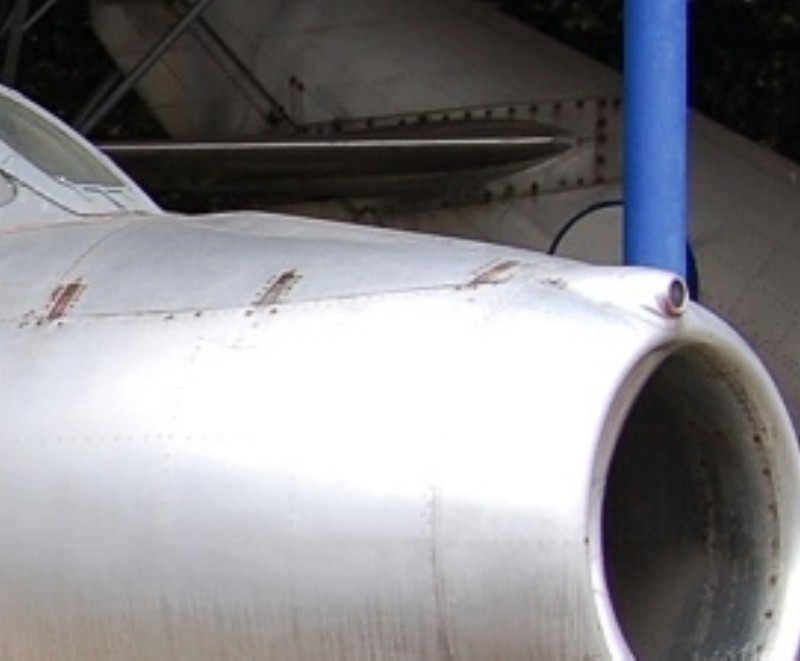 17nose2.jpg