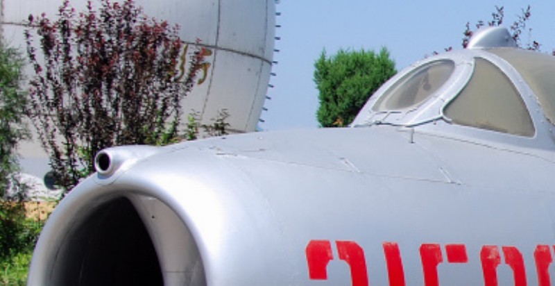 17nose3.jpg