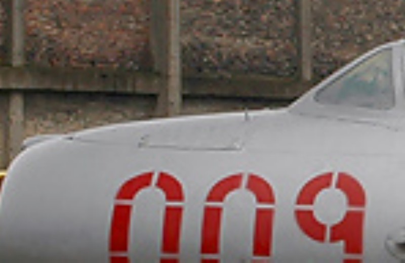 17nose4.jpg