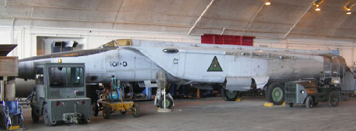 knights_website003001.jpg