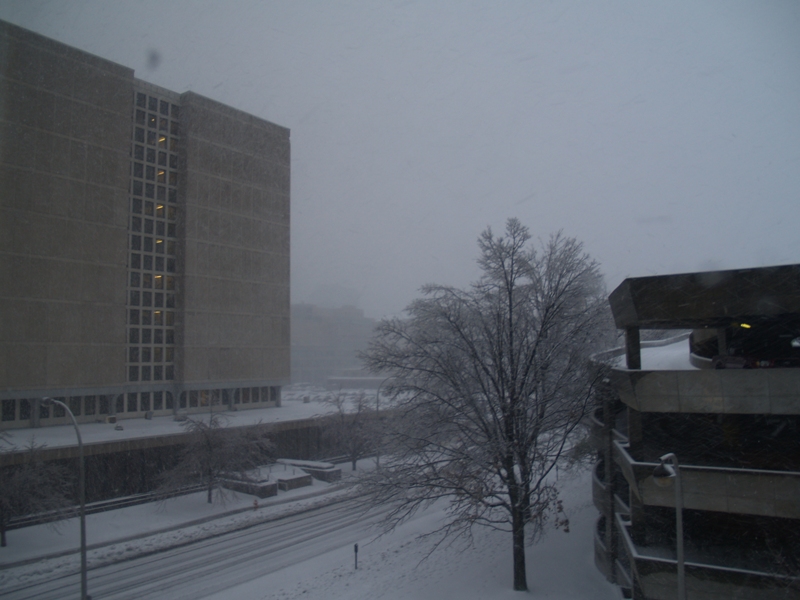 The view from the office window